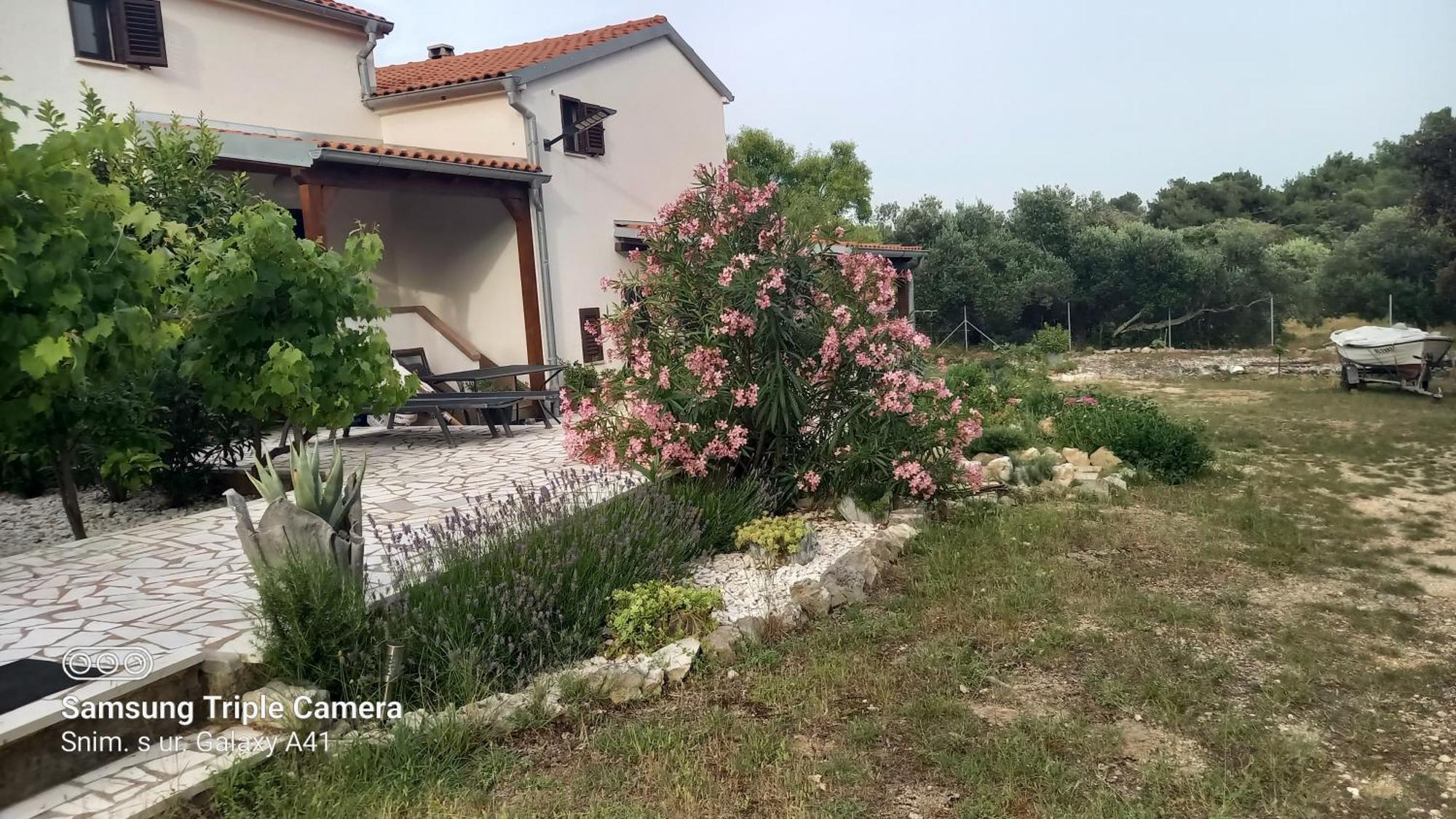 Eco Secluded Apartments Zabodarski Cunski Ngoại thất bức ảnh