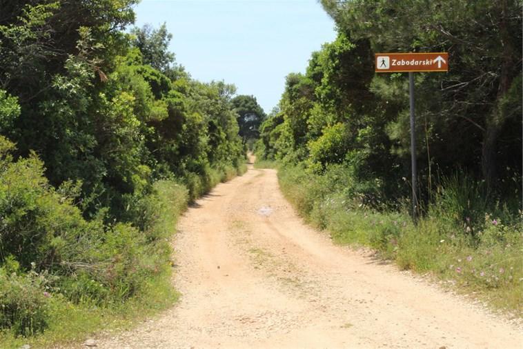 Eco Secluded Apartments Zabodarski Cunski Ngoại thất bức ảnh