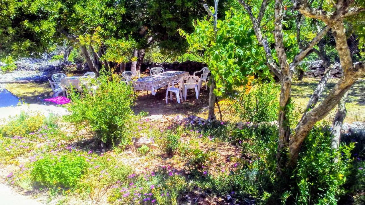 Eco Secluded Apartments Zabodarski Cunski Ngoại thất bức ảnh